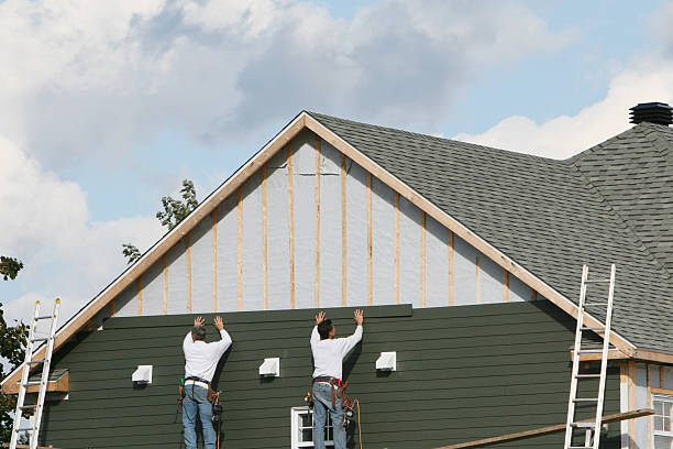 Professional Siding Repair technician working in Loretto, TN